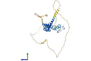 Protein Structure (PS) image for LIM Homeobox 3 (LHX3) (AA 1-397) protein (His tag) (ABIN7548982)
