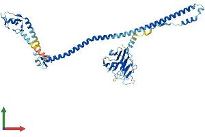 Protein Structure (PS) image for Tripartite Motif Containing 39 (TRIM39) (AA 1-488) protein (His tag) (ABIN7561477)