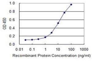 Detection limit for recombinant GST tagged EGLN2 is 0. (PHD1 抗体  (AA 1-407))