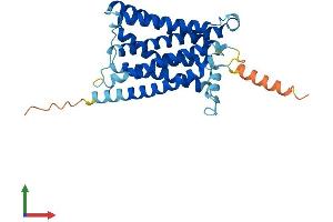 Protein Structure (PS) image for MAS-Related GPR, Member E (MRGPRE) (AA 1-310) protein (His tag) (ABIN7560134)