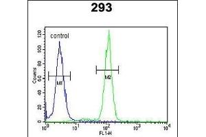 OST alpha Antibody (C-term) (ABIN653795 and ABIN2843077) flow cytometric analysis of 293 cells (right histogram) compared to a negative control cell (left histogram). (OST alpha 抗体  (C-Term))