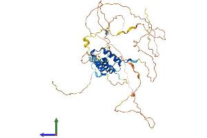Protein Structure (PS) image for SRY (Sex Determining Region Y)-Box 10 (SOX10) (AA 1-466) protein (His tag) (ABIN7546194)