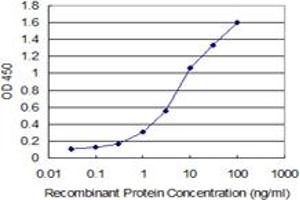 Detection limit for recombinant GST tagged HMGB2 is 0. (HMGB2 抗体  (AA 1-195))