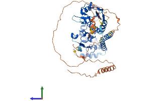 Protein Structure (PS) image for Archaelysin Family Metallopeptidase 1 (AMZ1) (AA 1-502) protein (His tag) (ABIN7558924)