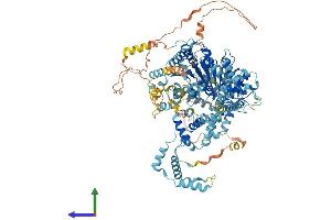 Protein Structure (PS) image for SWI/SNF Related, Matrix Associated, Actin Dependent Regulator of Chromatin, Subfamily A, Member 1 (SMARCA1) (AA 1-1046) protein (His tag) (ABIN7564129)