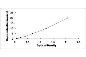 Typical standard curve (ITGA3 ELISA 试剂盒)