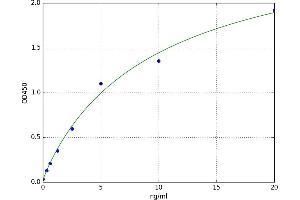Sulfatase 2 (SULF2) ELISA Kit