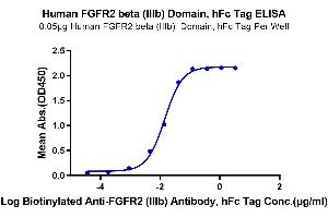 Immobilized Human FGFR2 beta (IIIb) Domain, hFc Tag at 0.