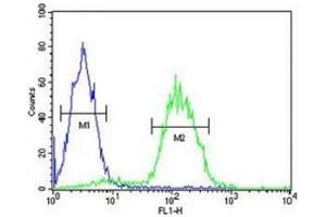 CD34 antibody flow cytometric analysis of Jurkat cells (right histogram) compared to a negative control cell (left histogram).