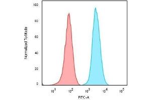 Flow Cytometric Analysis of Raji cells. (Recombinant CD74 抗体)