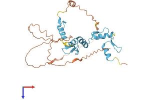 SNAI3 Protein (AA 1-287) (His tag)
