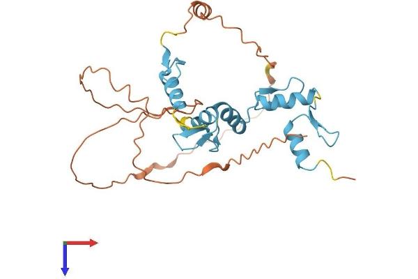 SNAI3 Protein (AA 1-287) (His tag)