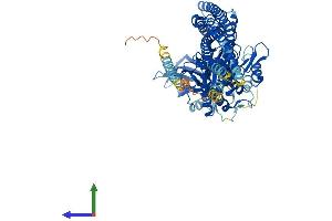 Protein Structure (PS) image for TANK-Binding Kinase 1 (TBK1) (AA 1-729) protein (His tag) (ABIN7555743)