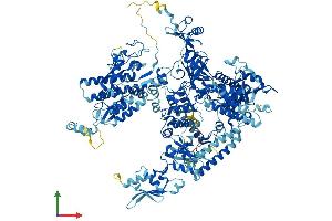 Protein Structure (PS) image for Polymerase (RNA) III (DNA Directed) Polypeptide A, 155kDa (POLR3A) (AA 1-1390) protein (His tag) (ABIN7555264)