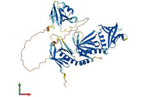 Protein Structure (PS) image for Syntrophin, alpha 1 (Dystrophin-Associated Protein A1, 59kDa, Acidic Component) (SNTA1) (AA 1-505) protein (His tag) (ABIN7546186)