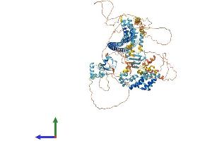 AlphaFold protein structure predicition of Human Recombinant DZIP3 Protein, UniprotID Q86Y13
