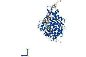 Protein Structure (PS) image for Family with Sequence Similarity 46, Member C (FAM46C) (AA 1-391) protein (His tag) (ABIN7557529)
