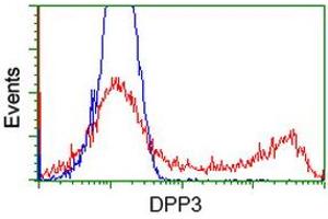 HEK293T cells transfected with either RC219658 overexpress plasmid (Red) or empty vector control plasmid (Blue) were immunostained by anti-DPP3 antibody (ABIN2454857), and then analyzed by flow cytometry. (DPP3 抗体)