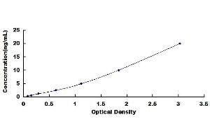 Typical standard curve (VCP ELISA 试剂盒)