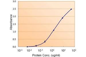 Image no. 1 for anti-Calnexin (CANX) (Internal Region) antibody (ABIN401659) (Calnexin 抗体  (Internal Region))