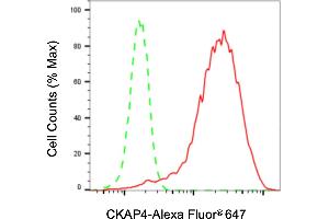 anti-Cytoskeleton-Associated Protein 4 (CKAP4) antibody