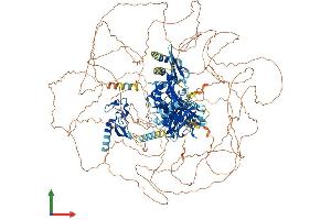 Protein Structure (PS) image for Zinc Finger, FYVE Domain Containing 16 (ZFYVE16) (AA 1-1539) protein (His tag) (ABIN7556069)