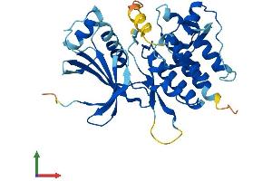 Protein Structure (PS) image for PDLIM1 Interacting Kinase 1 Like (PDIK1L) (AA 1-341) protein (His tag) (ABIN7550672)