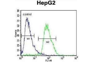 CACNA2D3 Antibody (C-term) flow cytometric analysis of HepG2 cells (right histogram) compared to a negative control cell (left histogram). (CACNA2D3 抗体  (C-Term))