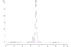 Size-exclusion chromatography-High Pressure Liquid Chromatography (SEC-HPLC) image for Killer Cell Immunoglobulin-Like Receptor, Two Domains, Long Cytoplasmic Tail, 2 (KIR2DL2) (AA 22-245) protein (His-Avi Tag,Biotin) (ABIN7275087)