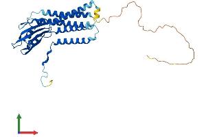 Protein Structure (PS) image for Dual Oxidase Maturation Factor 1 (DUOXA1) (AA 1-343) protein (His tag) (ABIN7547120)
