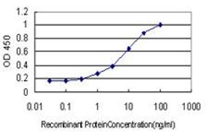 Detection limit for recombinant GST tagged ZNF202 is approximately 0. (ZNF202 抗体  (AA 301-400))