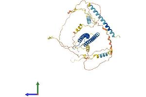 AlphaFold protein structure predicition of Human Recombinant TFEB Protein, UniprotID P19484