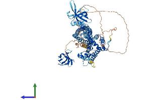 Protein Structure (PS) image for rho GTPase Activating Protein 26 (ARHGAP26) (AA 1-814) protein (His tag) (ABIN7558144)