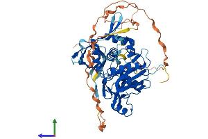 Protein Structure (PS) image for K(lysine) Acetyltransferase 5 (KAT5) (AA 1-513) protein (His tag) (ABIN7554219)