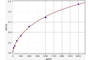 RIPK2 ELISA 试剂盒