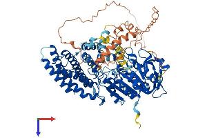 AlphaFold protein structure predicition of Mouse Recombinant Lipe Protein, UniprotID P54310