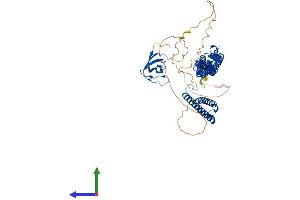 Protein Structure (PS) image for Formin Binding Protein 1 (FNBP1) (AA 1-616) protein (His tag) (ABIN7564243)