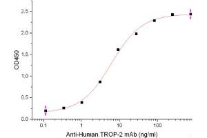 ELISA image for Tumor-Associated Calcium Signal Transducer 2 (TACSTD2) (Active) protein (His tag) (ABIN7321045)