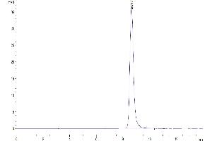 Size-exclusion chromatography-High Pressure Liquid Chromatography (SEC-HPLC) image for Leucine-Rich alpha-2 Glycoprotein 1 (LRG1) (AA 36-347) protein (His tag) (ABIN7275202)