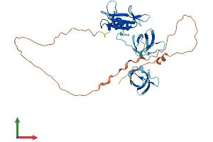 AlphaFold protein structure predicition of Mouse Recombinant Grap2 Protein, UniprotID O89100