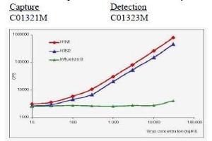 Calibration curve for Influenza A NP immunodetection in sandwich fluoroimmunoassay. (Influenza Nucleoprotein 抗体 (Influenza A Virus H1N1))