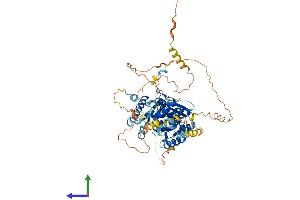 AlphaFold protein structure predicition of Human Recombinant LSG1 Protein, UniprotID Q9H089