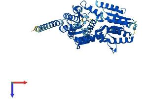 ALG11 Protein (AA 1-492) (His tag)