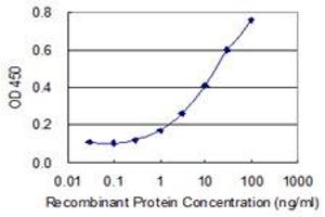 Detection limit for recombinant GST tagged PIGC is 0. (PIGC 抗体  (AA 1-54))