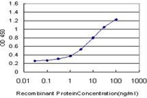 Detection limit for recombinant GST tagged NMI is approximately 0. (NMI 抗体  (AA 1-100))