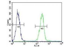 AARS2 antibody flow cytometric analysis of K562 cells (right histogram) compared to a negative control cell (left histogram). (AARS2 抗体  (AA 366-394))