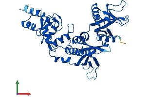 Protein Structure (PS) image for ArfGAP with Dual PH Domains 1 (ADAP1) (AA 1-374) protein (His tag) (ABIN7551949)