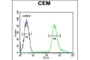 TSH2 Antibody (N-term) (ABIN651481 and ABIN2840262) flow cytometric analysis of CEM cells (right histogram) compared to a negative control cell (left histogram). (THNSL2 抗体  (N-Term))