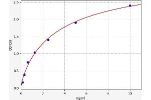 Typical standard curve (CSNK2A1/CK II alpha ELISA 试剂盒)
