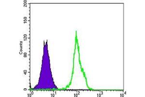 Flow cytometric analysis of HL-60 cells using BLK mouse mAb (green) and negative control (purple). (BLK 抗体)
